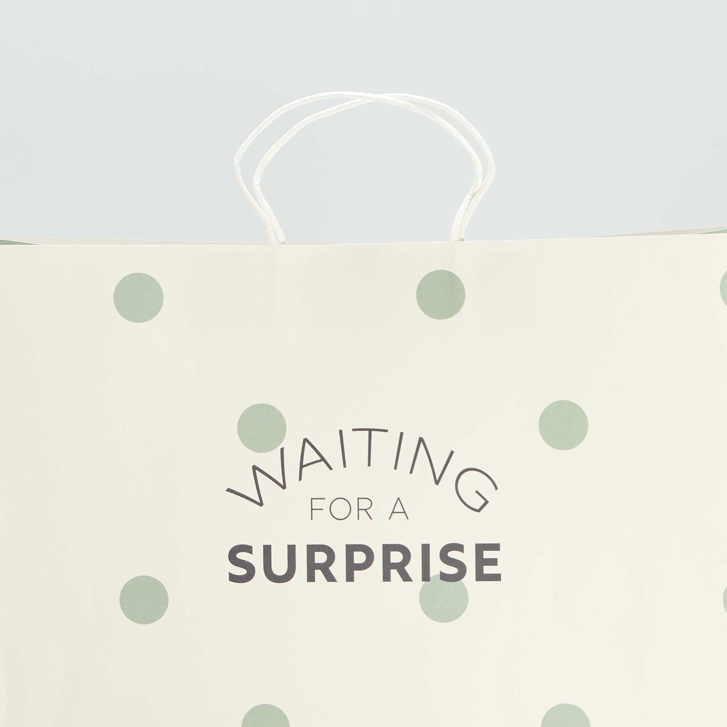 Bolsa de regalo VERDE