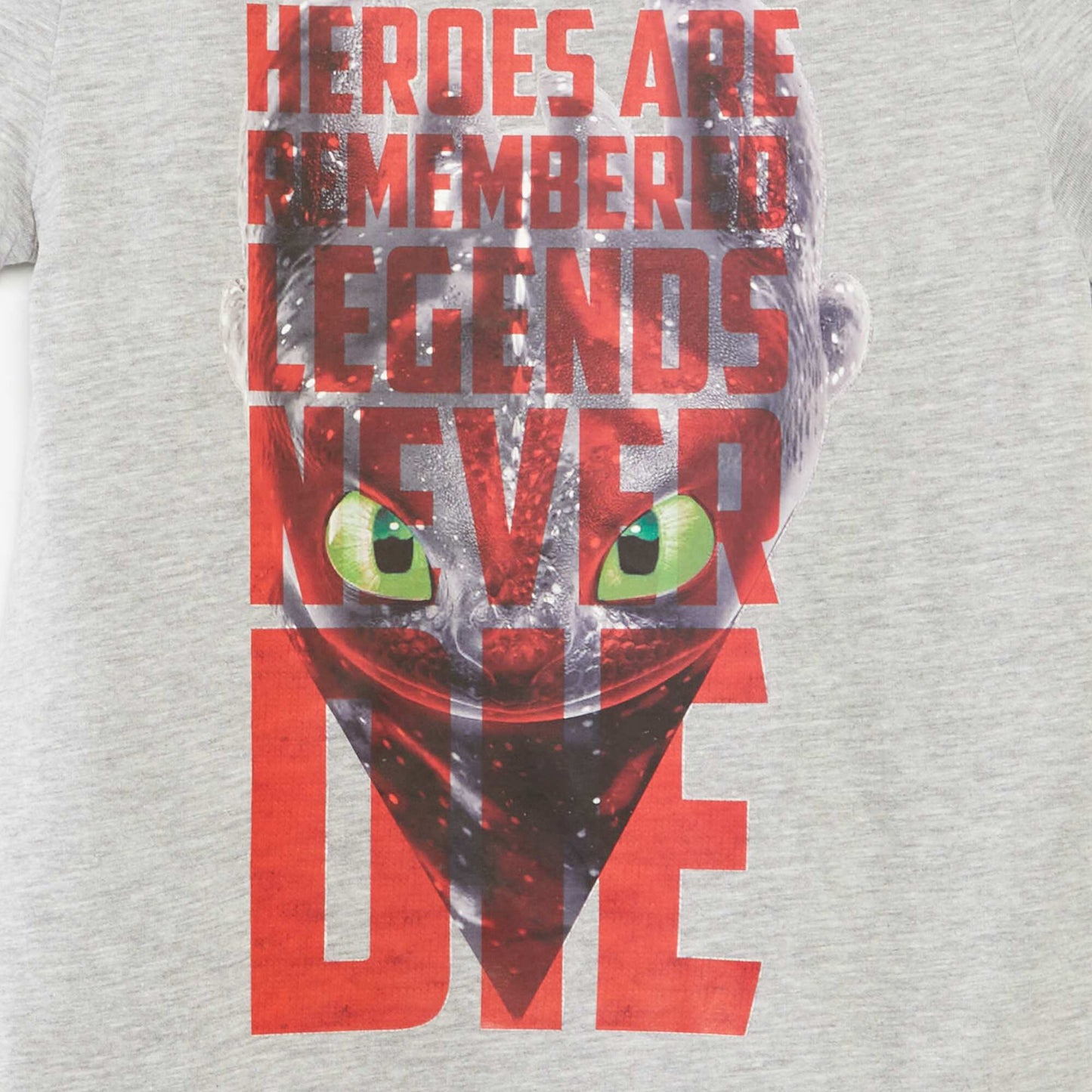 Camiseta 'Dragons' 'Universal' GRIS