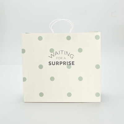 Bolsa de regalo VERDE