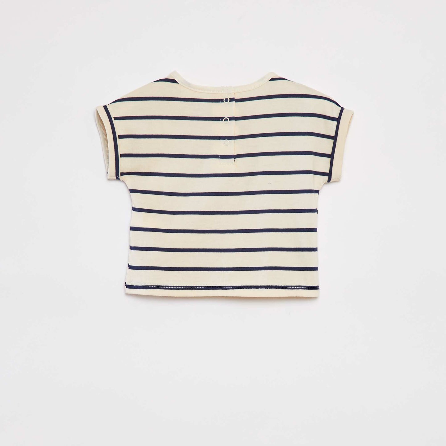 CSH23_1_ZC6