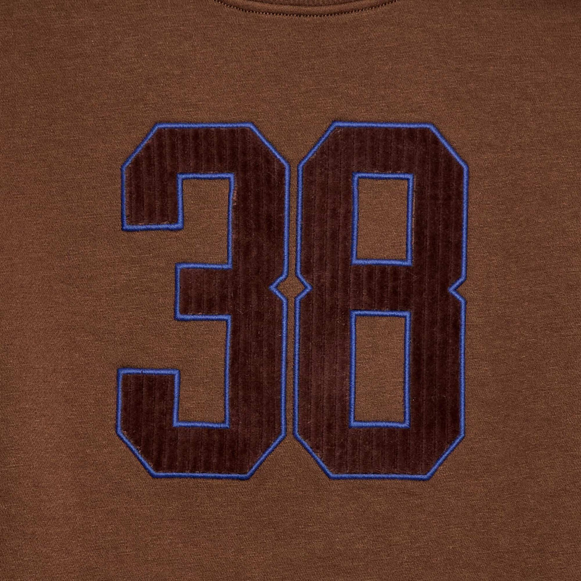 Buzo de felpa con estampado de terciopelo MARRON