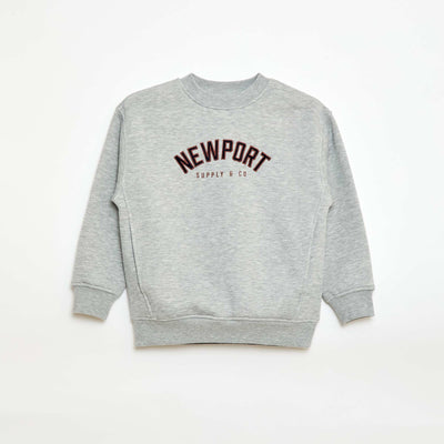 Buzo de felpa con estampado de terciopelo GRIS