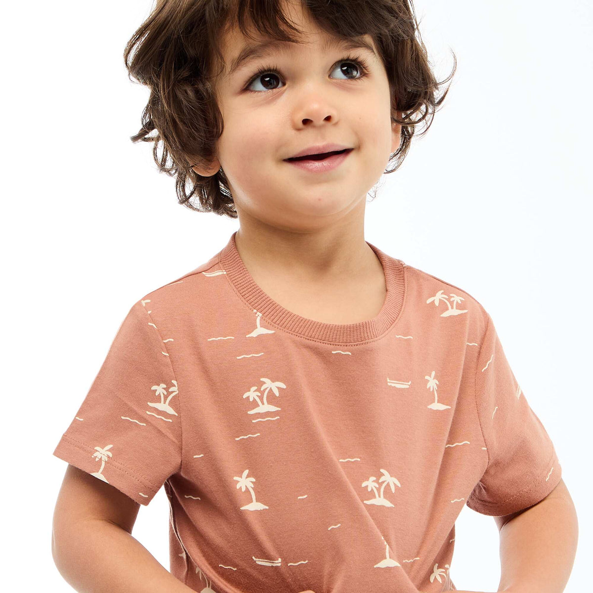 Camiseta lisa de punto de algodón MARRON