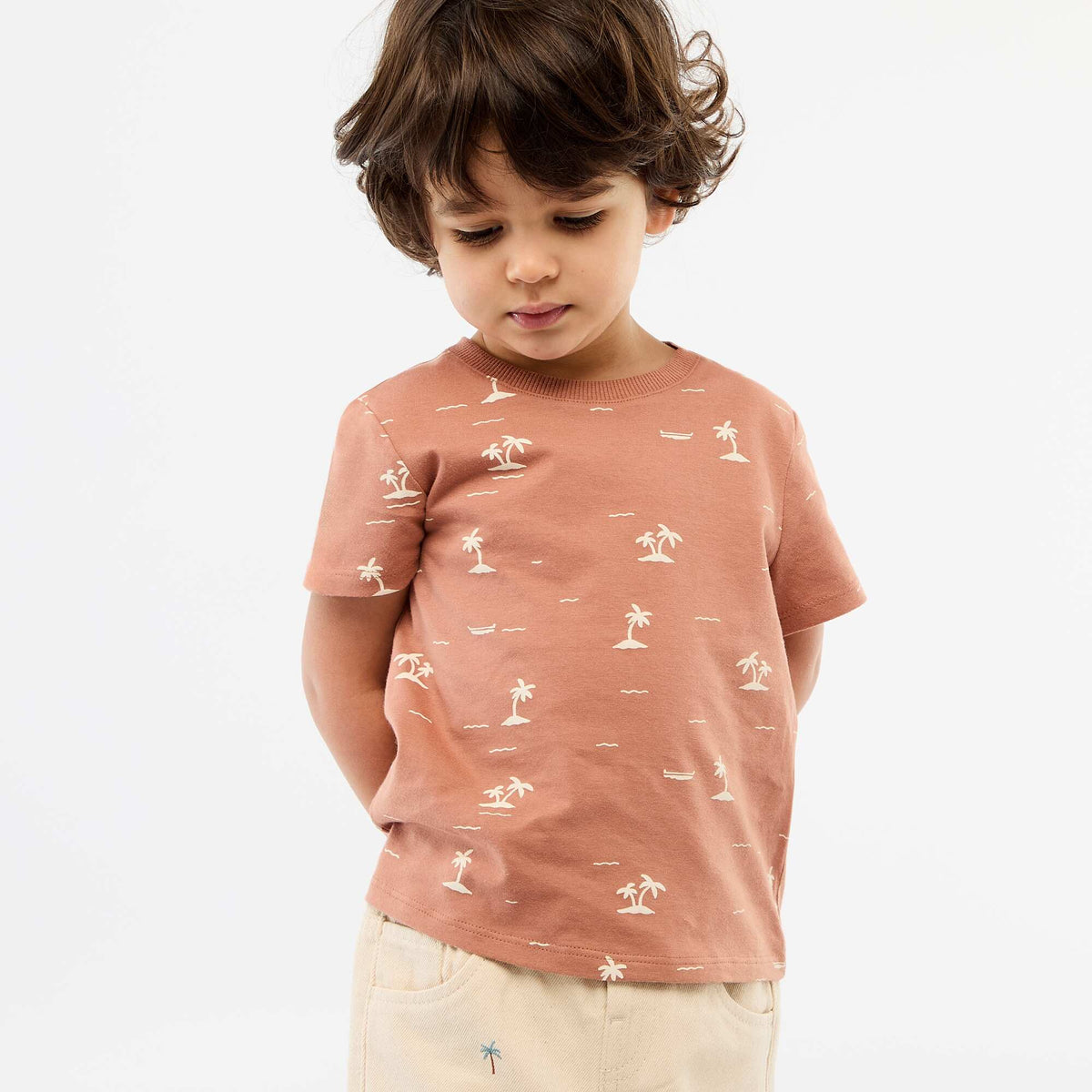 Camiseta lisa de punto de algodón MARRON