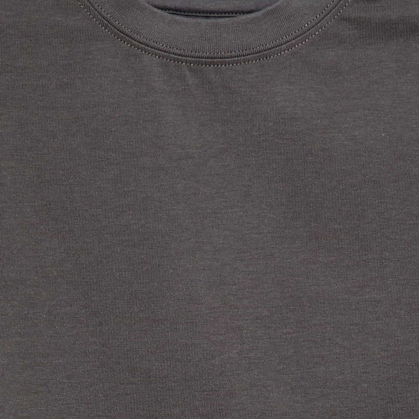 Camiseta de algodón premium GRIS